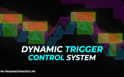 Dynamic Trigger Control System : Approche Dynamique des Marchés