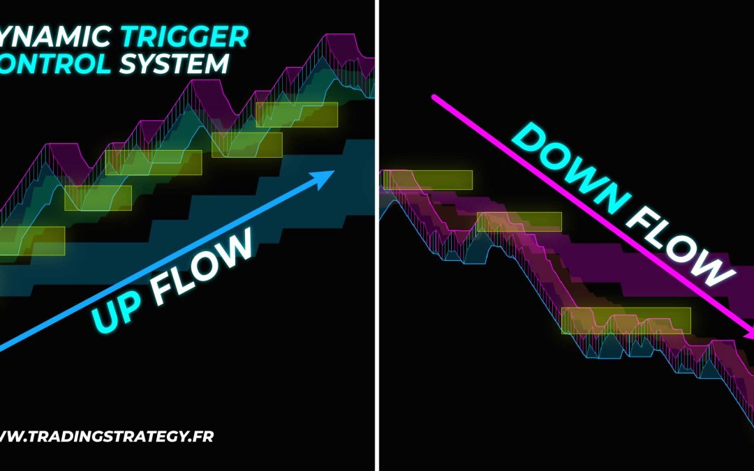 Up Flows y Down Flows: Flujos Clave en el Sistema DTC
