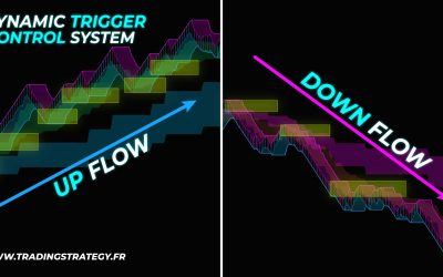 Up Flows et Down Flows : Les Flux du DTC System